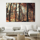 Fall in the woods by Pascal Deckarm on GIANT ART - orange photo manipulation