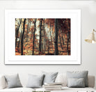 Fall in the woods by Pascal Deckarm on GIANT ART - orange photo manipulation