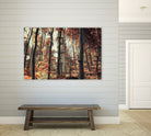 Fall in the woods by Pascal Deckarm on GIANT ART - orange photo manipulation
