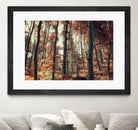 Fall in the woods by Pascal Deckarm on GIANT ART - orange photo manipulation