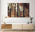 Fall in the woods by Pascal Deckarm on GIANT ART - orange photo manipulation
