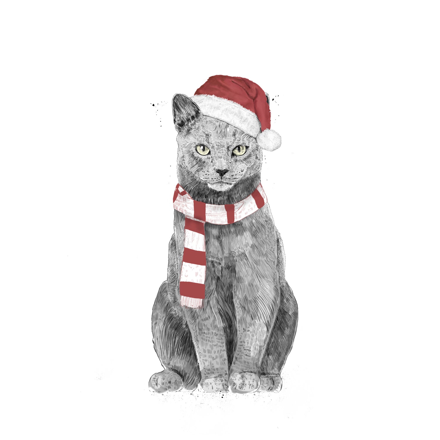 Xmas cat by Solti Balázs on GIANT ART - white digital drawing