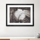 Softball on the Bench in Sepia by Leah McPhail on GIANT ART - brown photo illustration