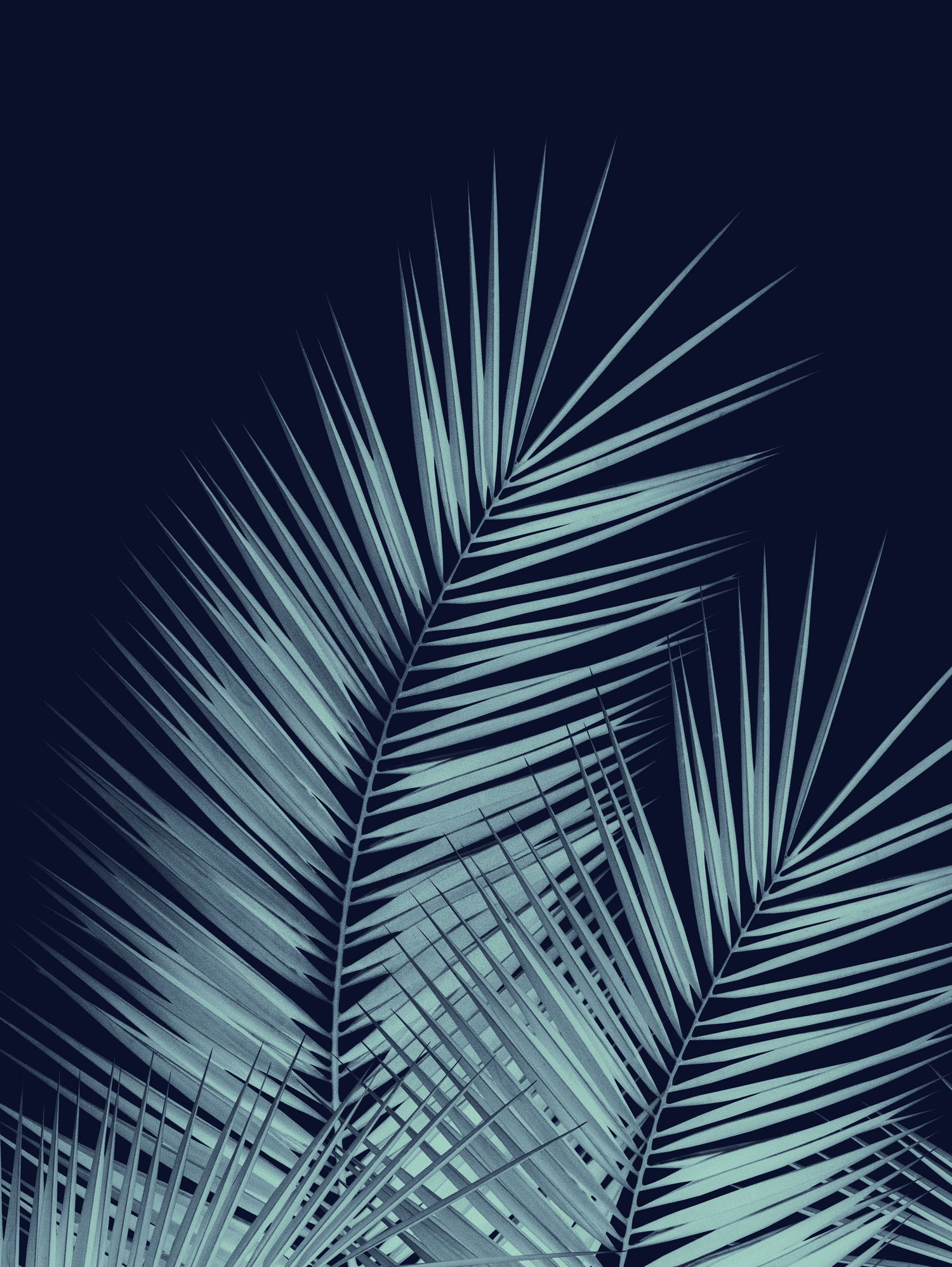 Navy Blue Palm Leaves Dream - Cali Summer Vibes #1 #tropical by Anita & Bella Jantz on GIANT ART - blue photo illustration