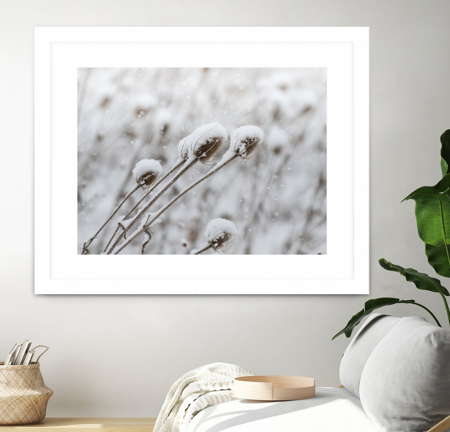 Snow on Thistle by Arlene Carley on GIANT ART - white photo manipulation