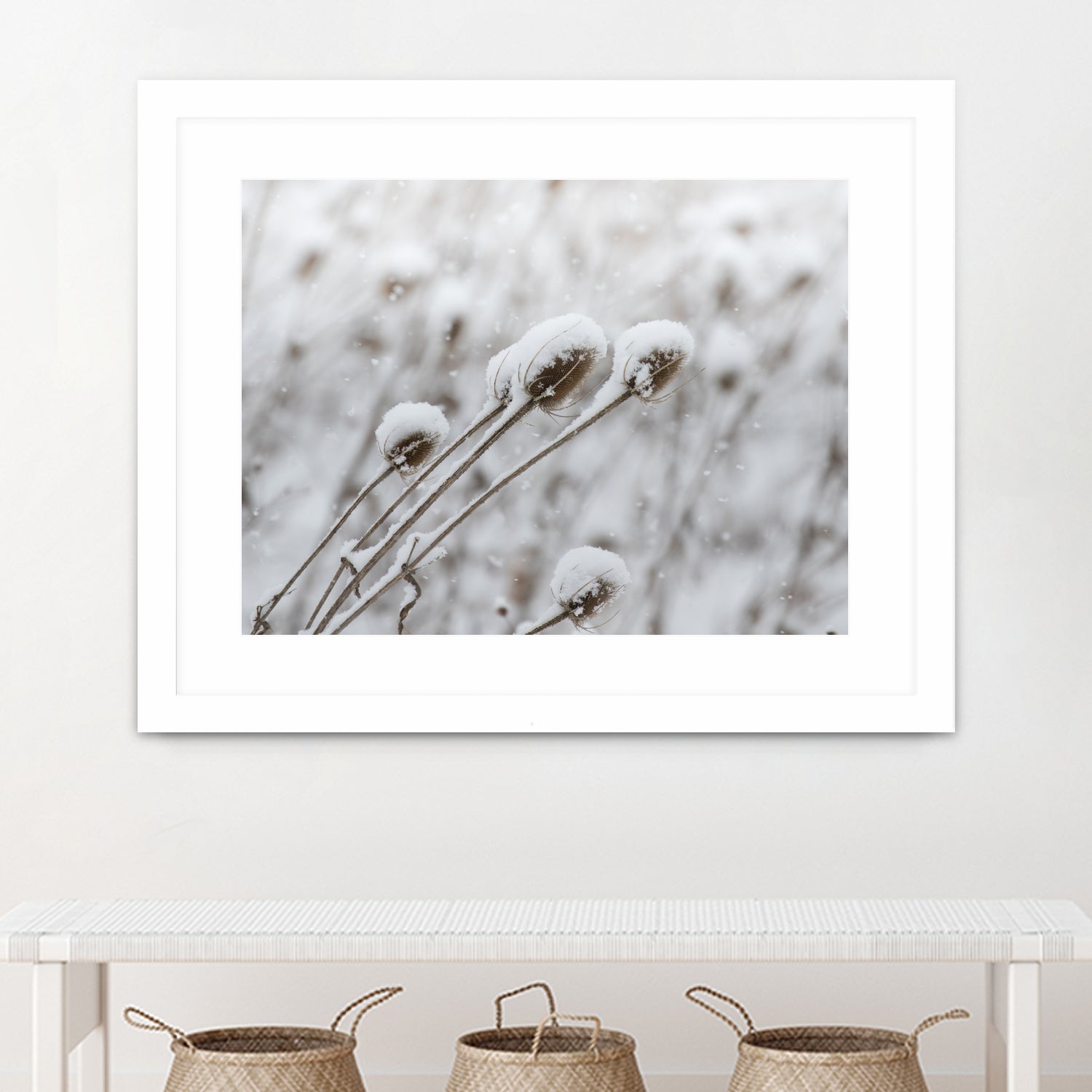 Snow on Thistle by Arlene Carley on GIANT ART - white photo manipulation