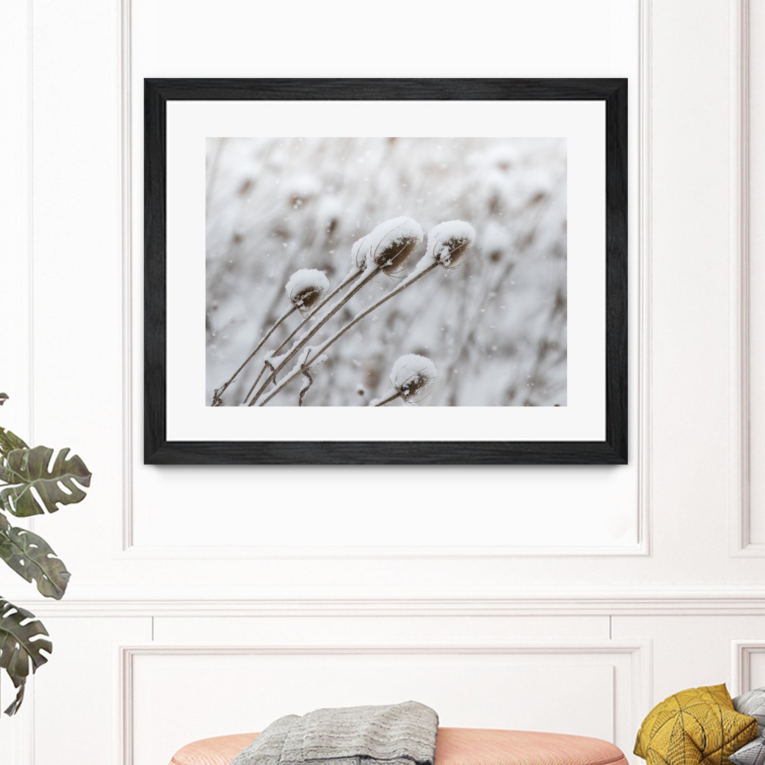 Snow on Thistle by Arlene Carley on GIANT ART - white photo manipulation