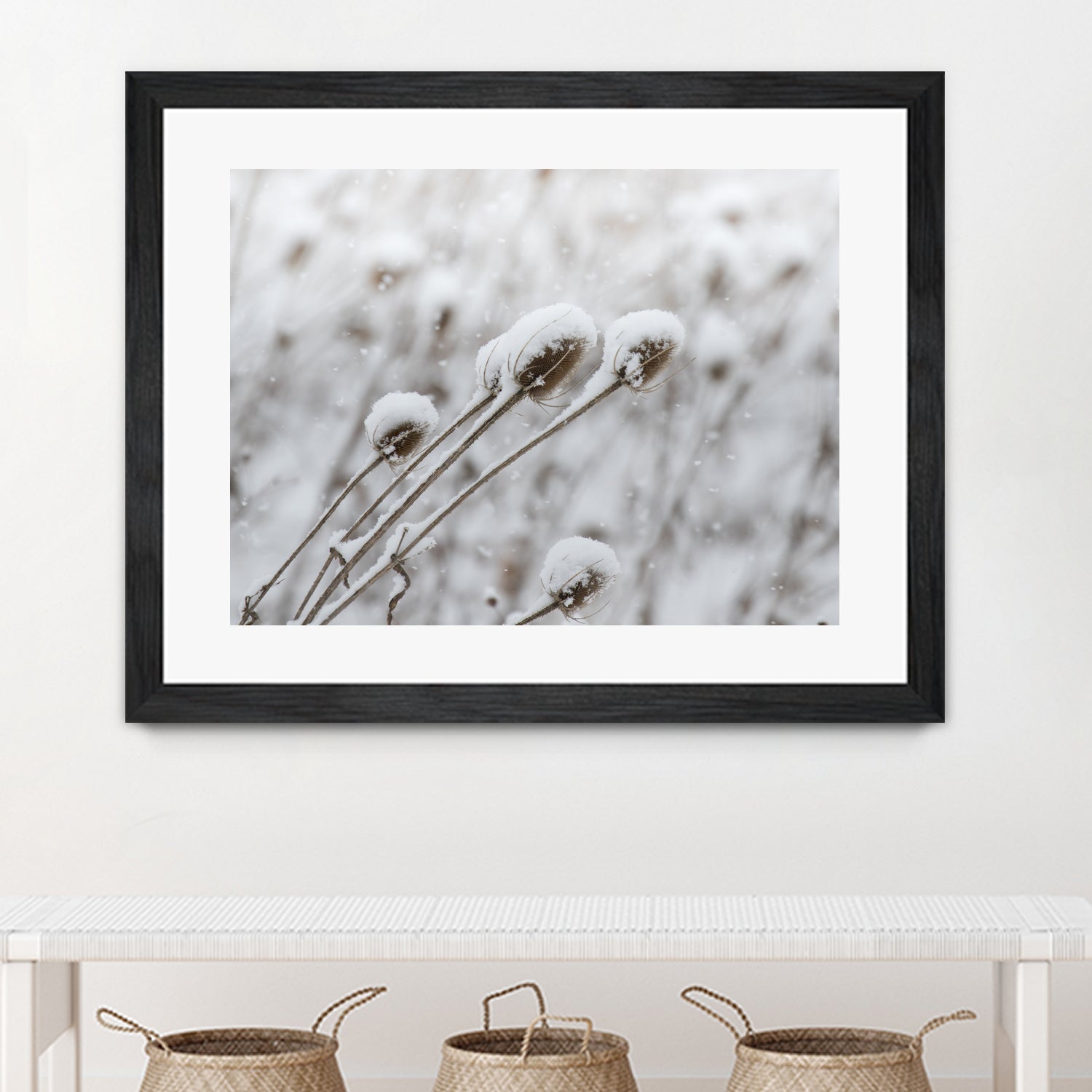 Snow on Thistle by Arlene Carley on GIANT ART - white photo manipulation