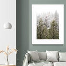 Winter in the Forest by Arlene Carley on GIANT ART - green photo manipulation