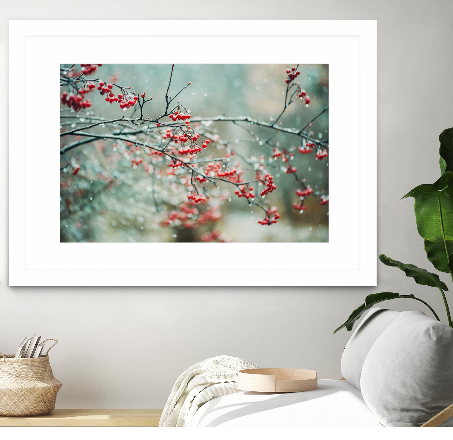 berries in snow by Amy Buxton on GIANT ART - red photo illustration