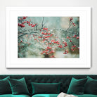 berries in snow by Amy Buxton on GIANT ART - red photo illustration