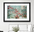 berries in snow by Amy Buxton on GIANT ART - red photo illustration