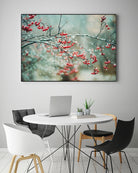 berries in snow by Amy Buxton on GIANT ART - red photo illustration