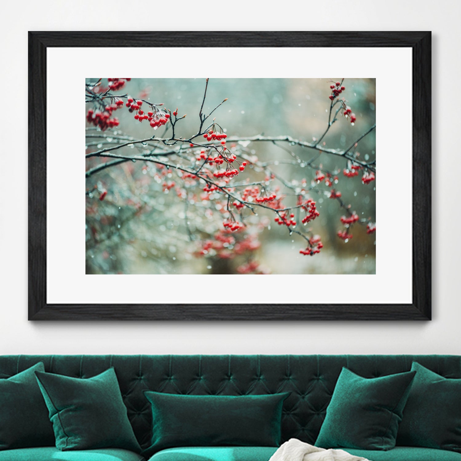 berries in snow by Amy Buxton on GIANT ART - red photo illustration