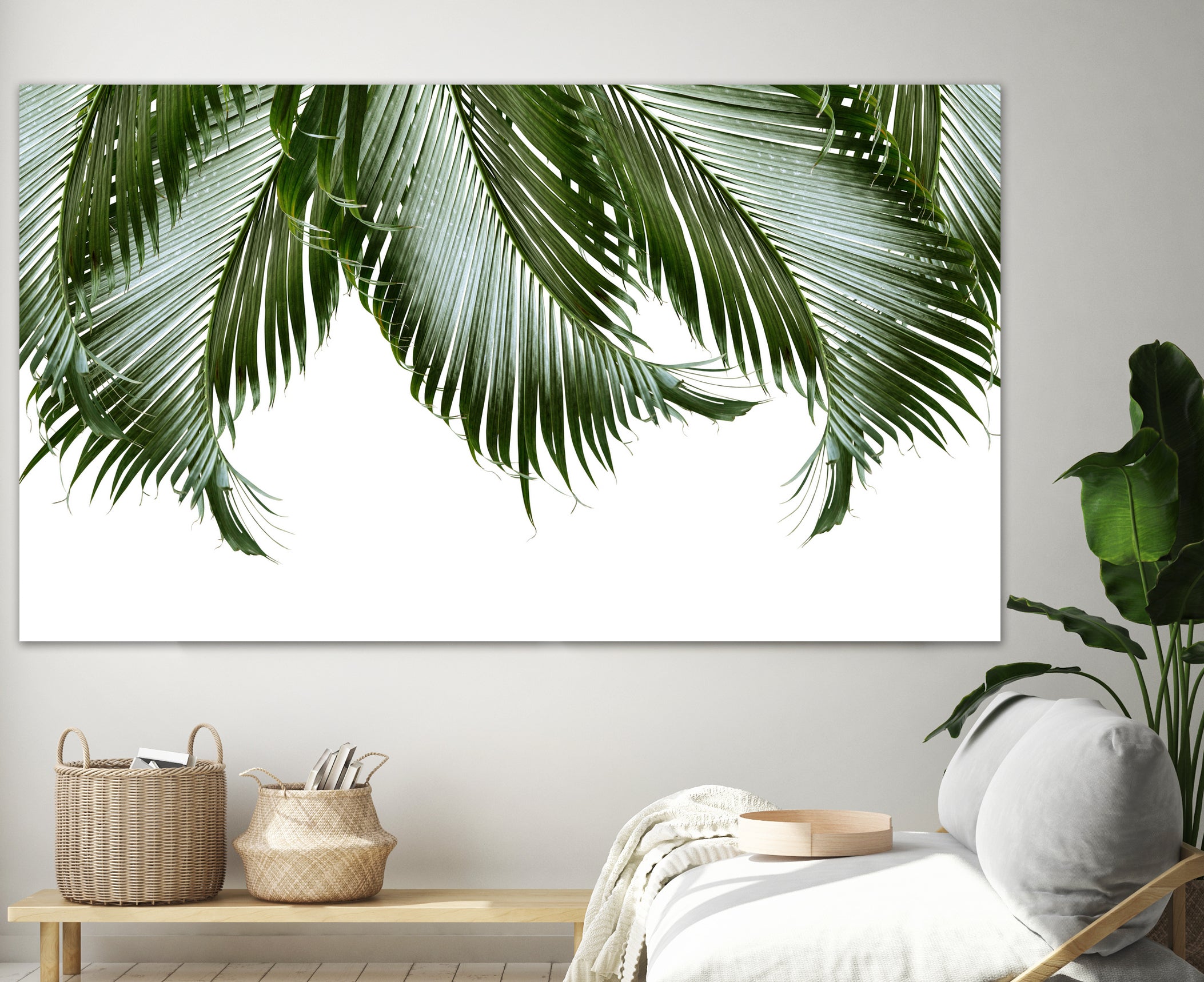 Palm Leaves Finesse 1a - Art Print by Anitas Bellas Art | GIANT ART