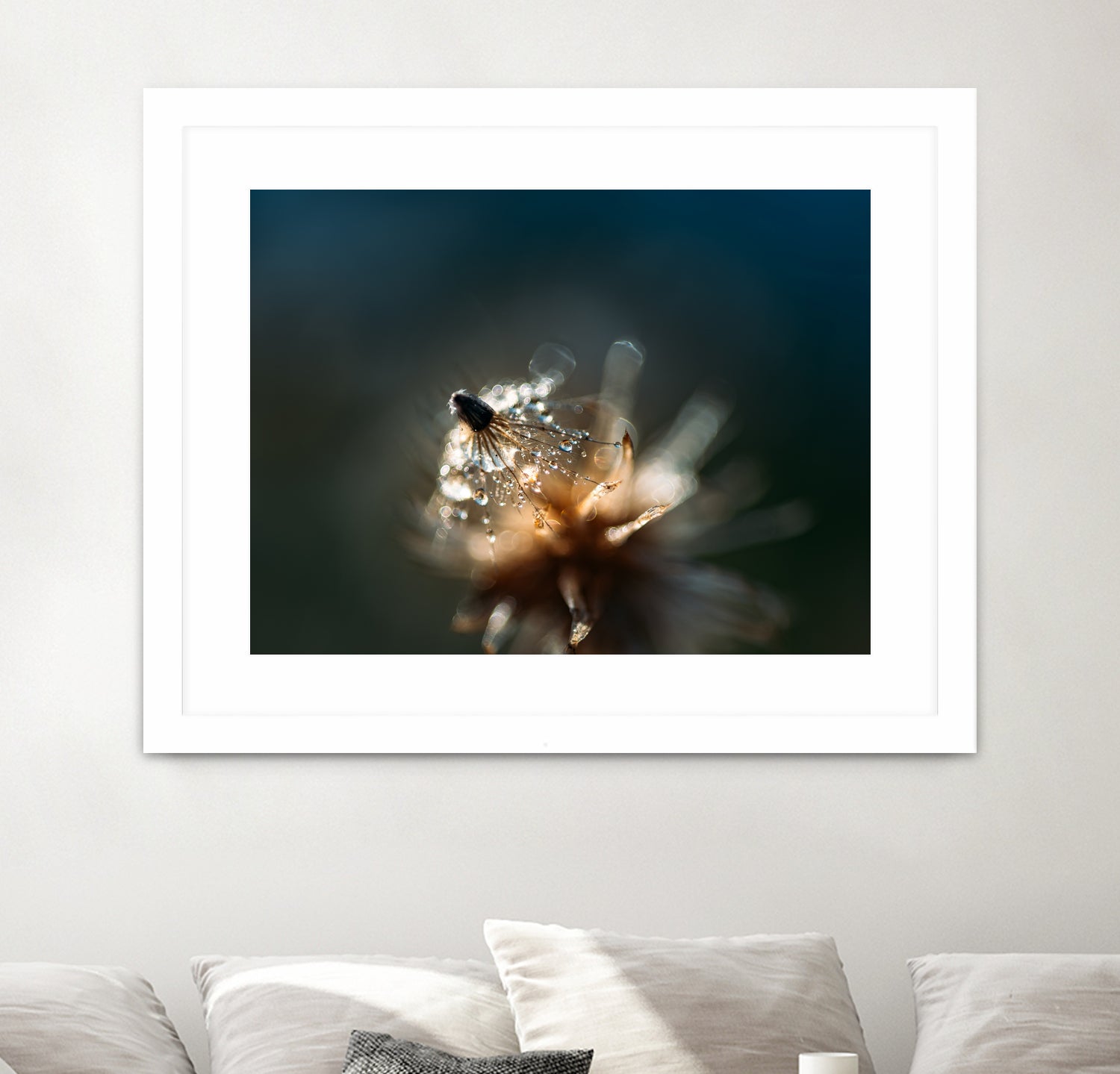 Dew drops on dandelion seed by Studio OMG on GIANT ART - brown photo illustration