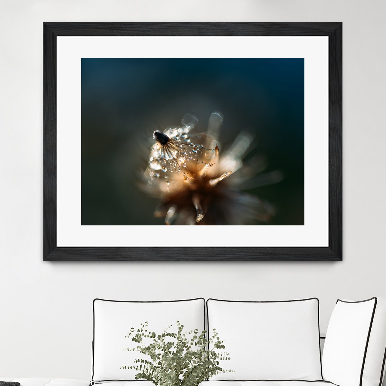 Dew drops on dandelion seed by Studio OMG on GIANT ART - brown photo illustration