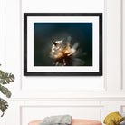 Dew drops on dandelion seed by Studio OMG on GIANT ART - brown photo illustration