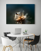 Dew drops on dandelion seed by Studio OMG on GIANT ART - brown photo illustration