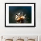 Dew drops on dandelion seed by Studio OMG on GIANT ART - brown photo illustration