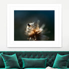 Dew drops on dandelion seed by Studio OMG on GIANT ART - brown photo illustration