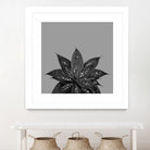 Gray Black Agave with Black Silver Glitter #3 #shiny by Anita & Bella Jantz on GIANT ART - gray photo illustration