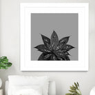 Gray Black Agave with Black Silver Glitter #3 #shiny by Anita & Bella Jantz on GIANT ART - gray photo illustration