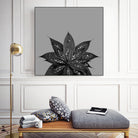 Gray Black Agave with Black Silver Glitter #3 #shiny by Anita & Bella Jantz on GIANT ART - gray photo illustration