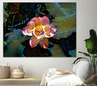 Nelumbo nucifera by Svetlana Eremenko on GIANT ART - pink digital painting