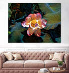 Nelumbo nucifera by Svetlana Eremenko on GIANT ART - pink digital painting