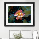 Nelumbo nucifera by Svetlana Eremenko on GIANT ART - pink digital painting