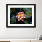 Nelumbo nucifera by Svetlana Eremenko on GIANT ART - pink digital painting