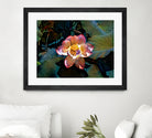 Nelumbo nucifera by Svetlana Eremenko on GIANT ART - pink digital painting