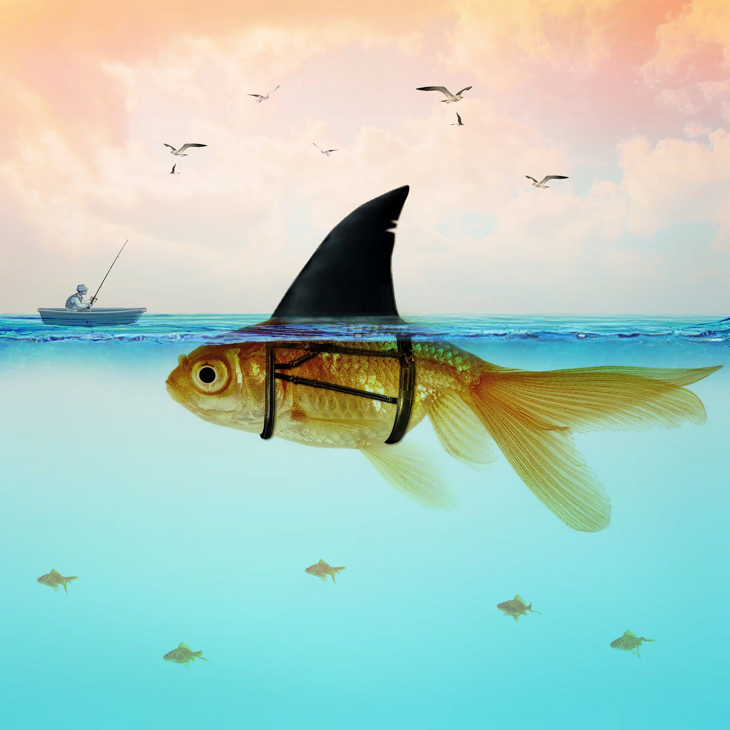 Goldfish with a Shark Fin by Vin Zzep on GIANT ART - white digital painting