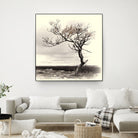 Lonely Tree by I Bjork on GIANT ART - gray photo illustration