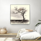 Lonely Tree by I Bjork on GIANT ART - gray photo illustration