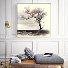 Lonely Tree by I Bjork on GIANT ART - gray photo illustration