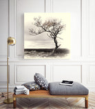 Lonely Tree by I Bjork on GIANT ART - gray photo illustration