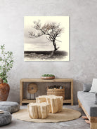 Lonely Tree by I Bjork on GIANT ART - gray photo illustration