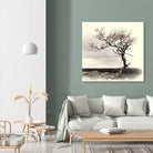 Lonely Tree by I Bjork on GIANT ART - gray photo illustration