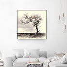 Lonely Tree by I Bjork on GIANT ART - gray photo illustration