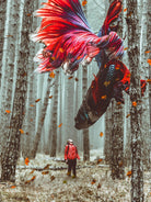 Forest Betta by GEN Z by Rigaud Mickaël on GIANT ART - red photo illustration