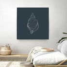 Shell by Alessandra Gagliano on GIANT ART - gray vector illustration