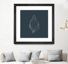 Shell by Alessandra Gagliano on GIANT ART - gray vector illustration