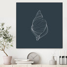 Shell by Alessandra Gagliano on GIANT ART - gray vector illustration