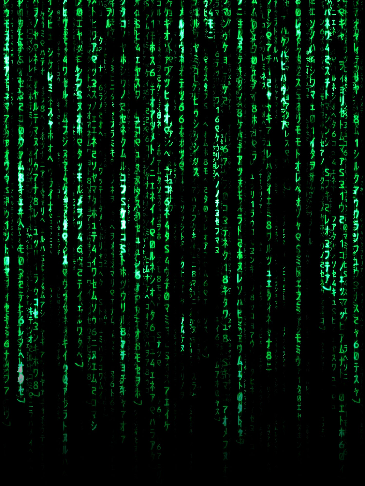 The Matrix Code by Nikita Abakumov on GIANT ART - black digital painting