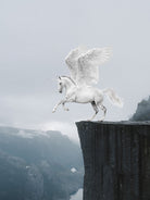 pegasus by Murat Akyol on GIANT ART - white digital painting