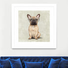 Mr French Bulldog by Roberta Jean Pharelli on GIANT ART - white digital painting