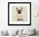 Mr French Bulldog by Roberta Jean Pharelli on GIANT ART - white digital painting