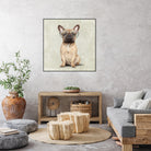 Mr French Bulldog by Roberta Jean Pharelli on GIANT ART - white digital painting